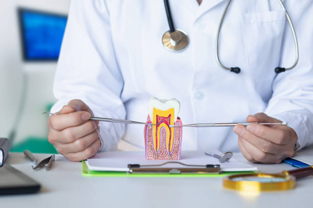 Best Emergency Tooth Extraction in Weston Lakes, TX